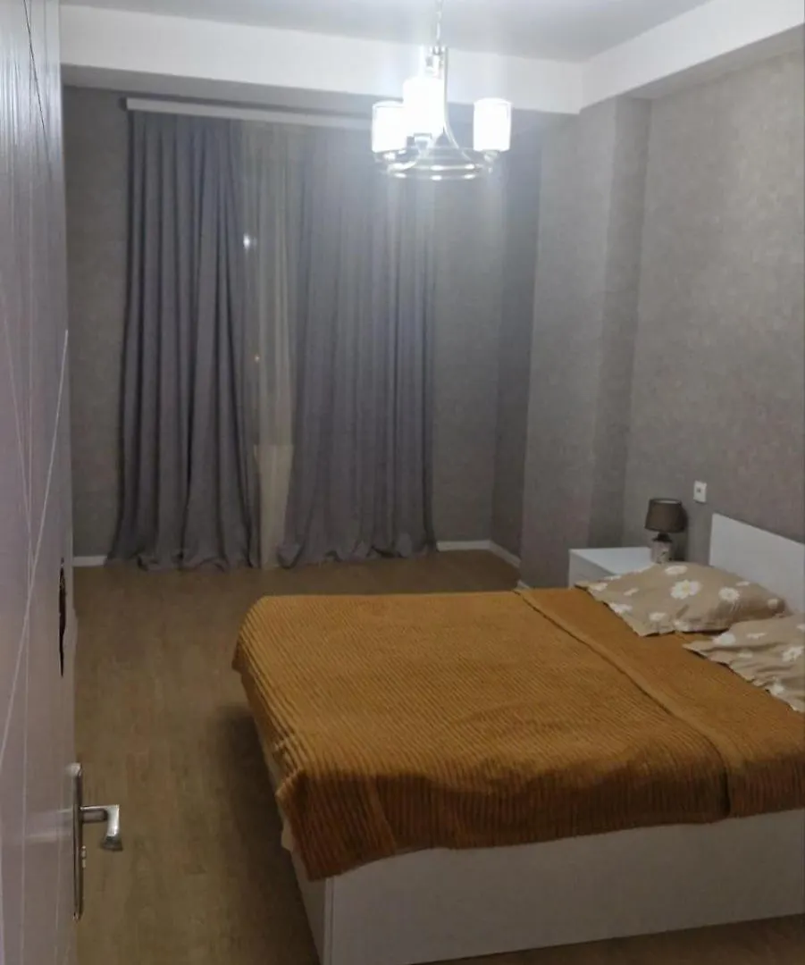 One-Bedroom Apartment Tbiliszi